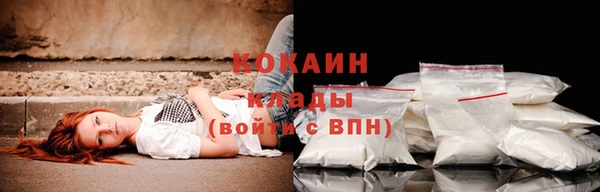 стафф Алзамай