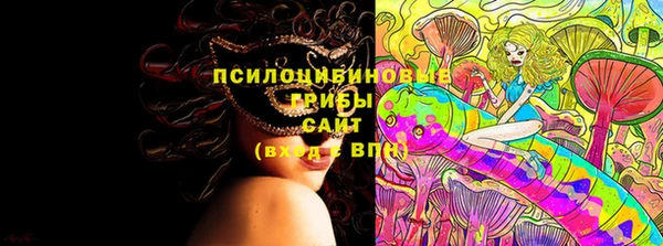 сатива Болхов