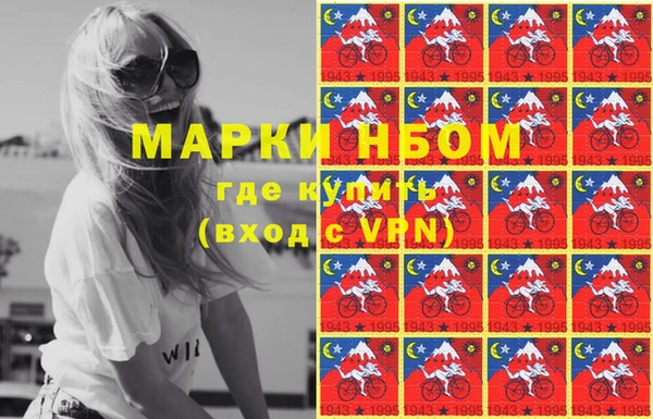 стафф Алзамай