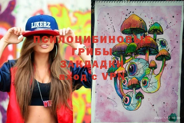 бошки Аркадак